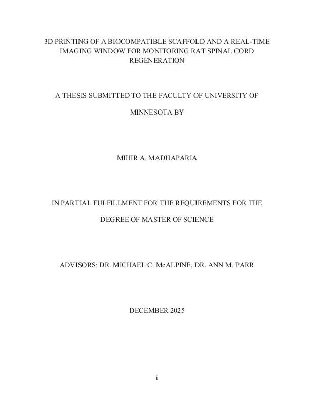 Master's thesis preview